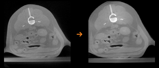 CBCT5.png